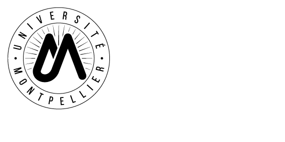 Logo-MUSE-Blanc-sspicto.png